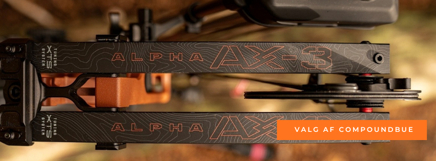 Which Bow Should I Choose? (Beginner's Guide)
