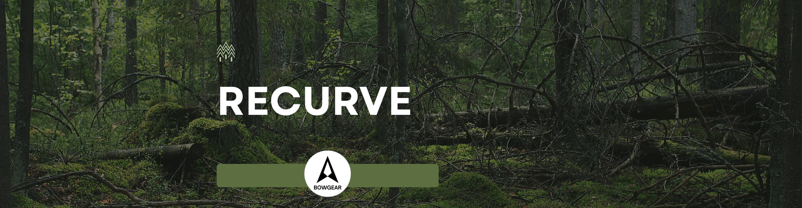 Recurve