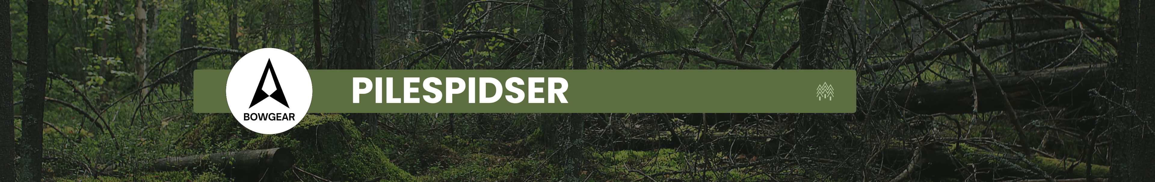 Pilespidser