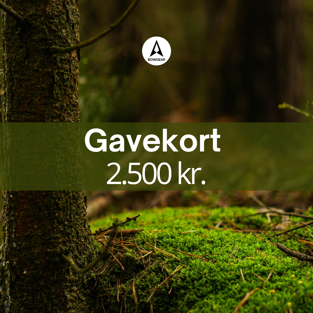 Gavekort