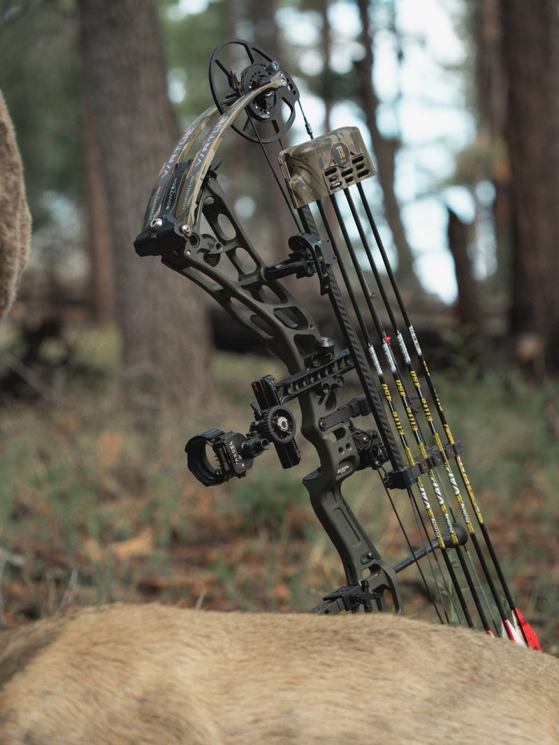 All bows
