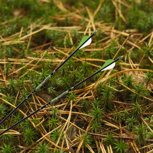 Gold Tip XT Hunter – færdigmonteret pil 1 stk.