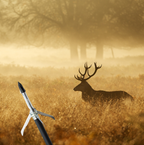 Grim Reaper razortip  broadheads 3 pak