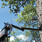 HME strap-on bow hanger