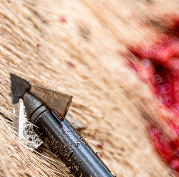 QAD Exodus broadheads