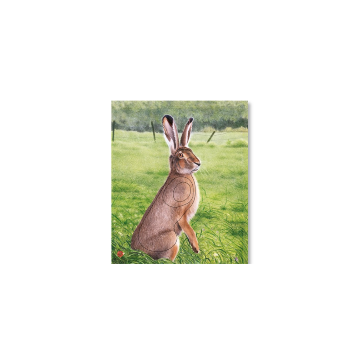 skydeskive hare 